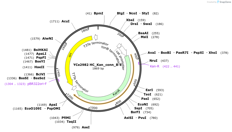 100644-plasmid-map-sequence-id-192757