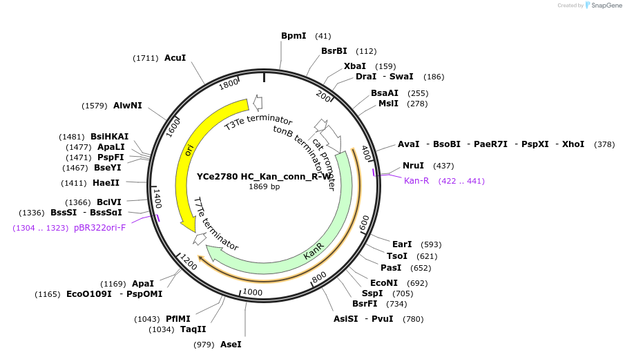 100661-plasmid-map-sequence-id-192775