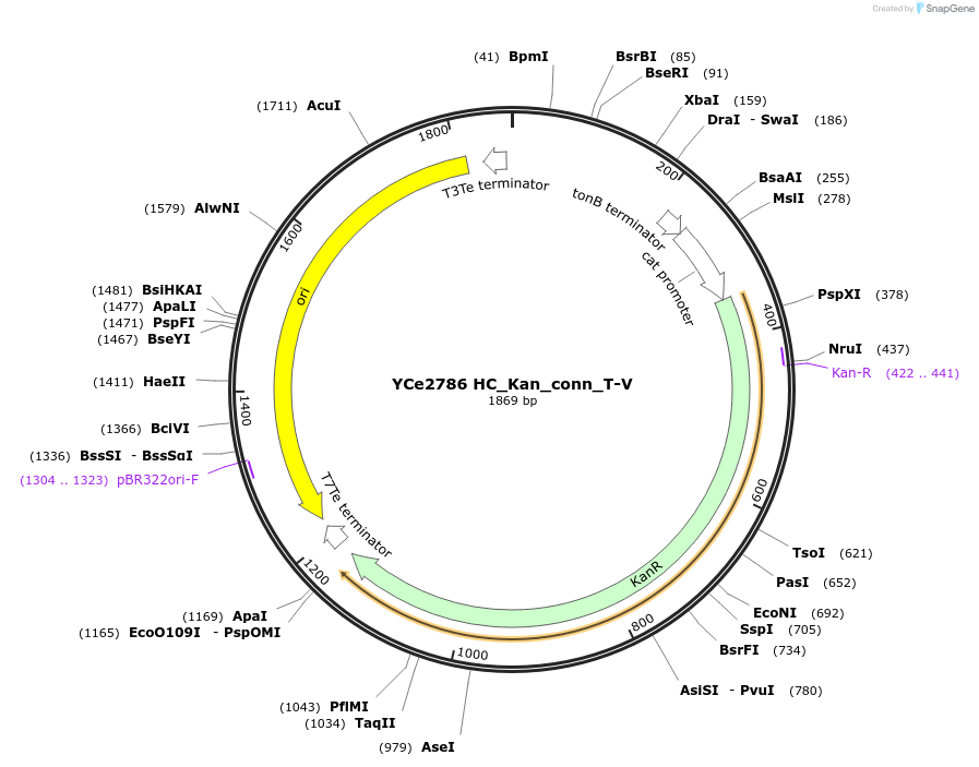 100662-plasmid-map-sequence-id-192776
