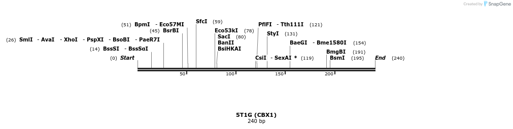192811_map