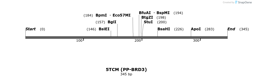 192815_map