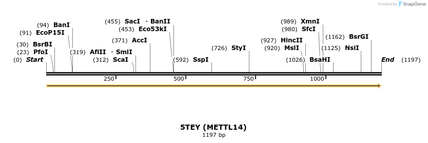 192818_map