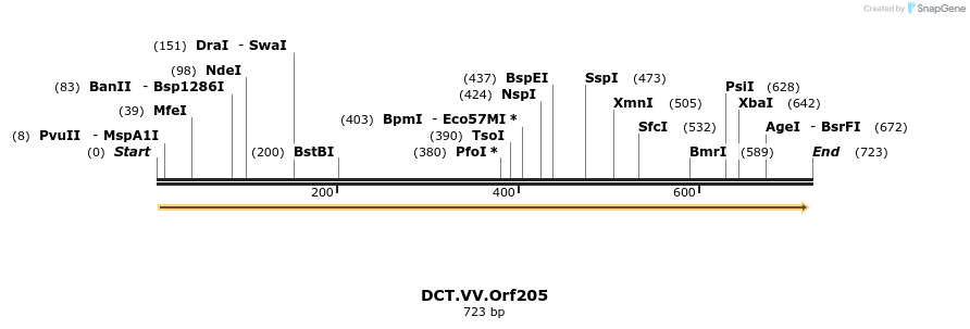 19282_map