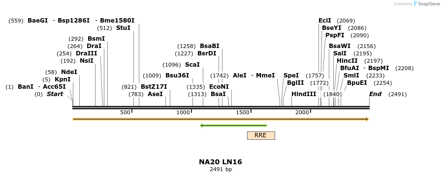 192820_map