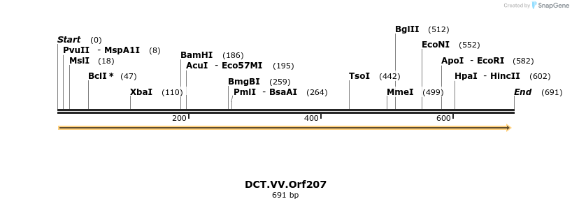 19284_map
