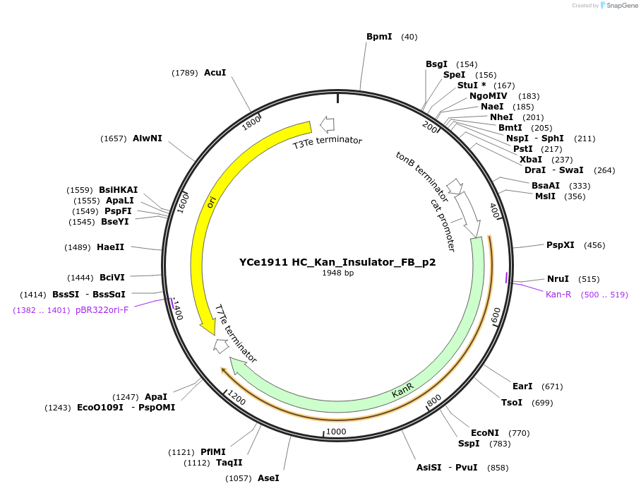 100686-plasmid-map-sequence-id-192897