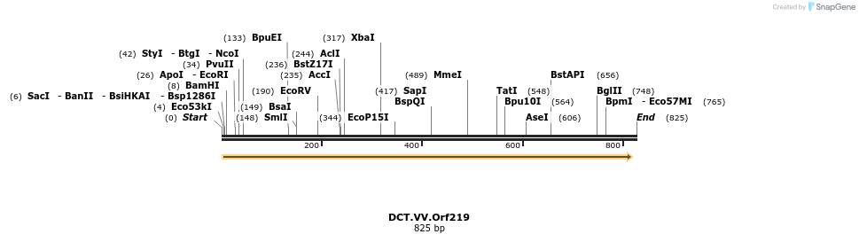19296_map