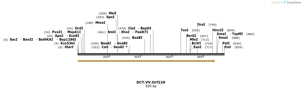 19306_map