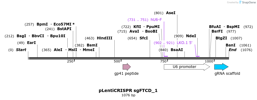 193223_map