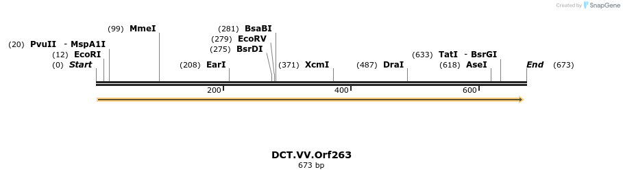 19334_map