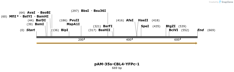 193474_map