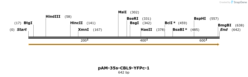 193478_map