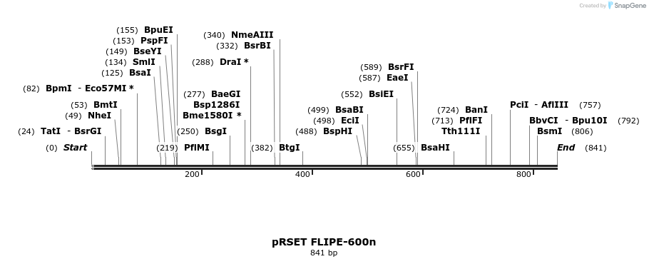 19362_map