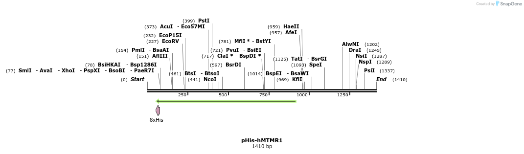 193633_map