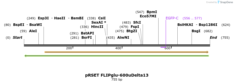 19370_map