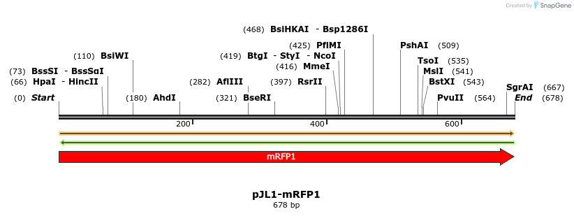 194078_map