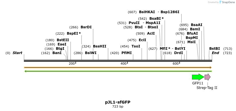 194096_map
