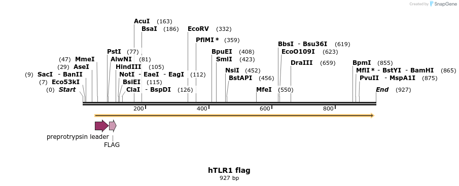 19454_map