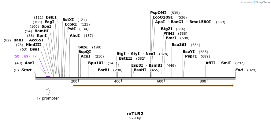 19456_map