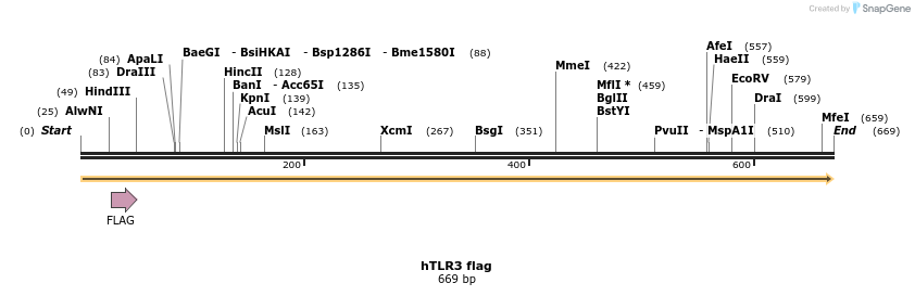 19458_map