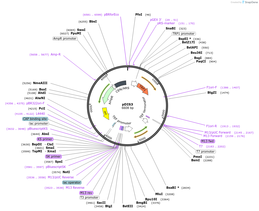92173-plasmid-map-sequence-id-194950