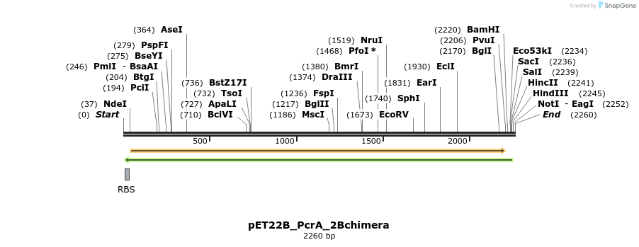 195011_map