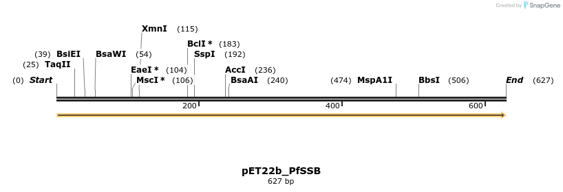 195013_map
