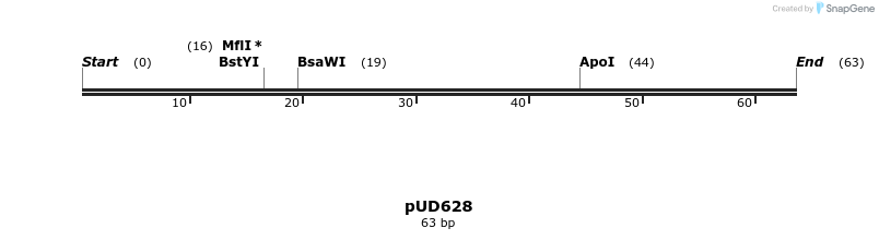 195124_map