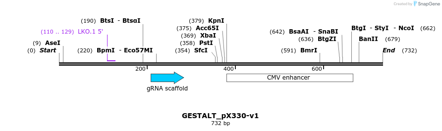 195133_map