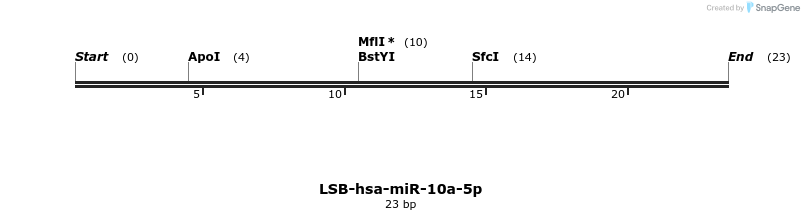195404_map