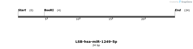 195420_map