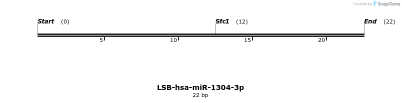 195470_map