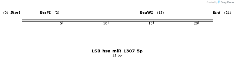 195480_map