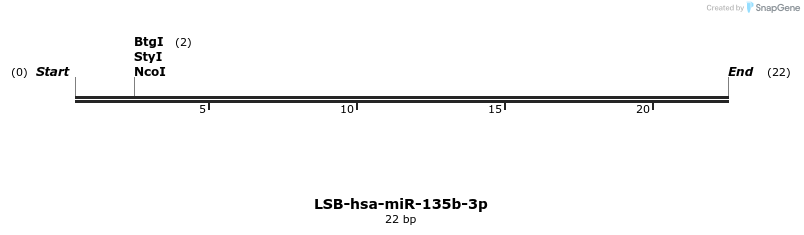 195506_map