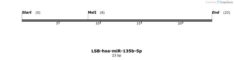 195508_map