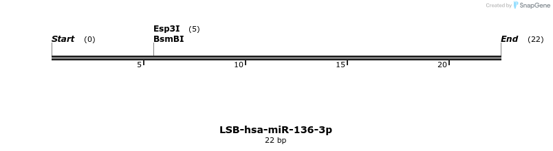 195510_map