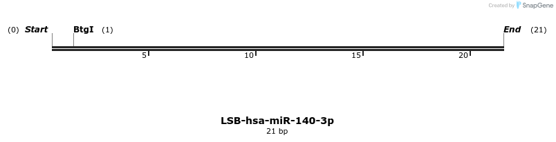 195522_map