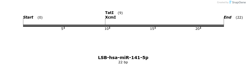 195528_map