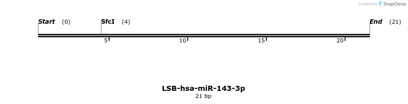 195534_map