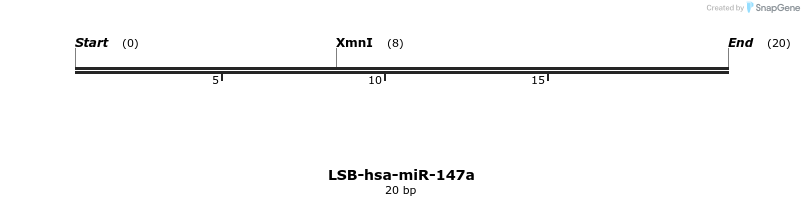 195548_map