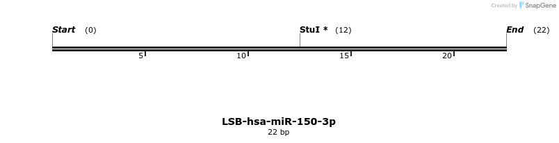 195562_map