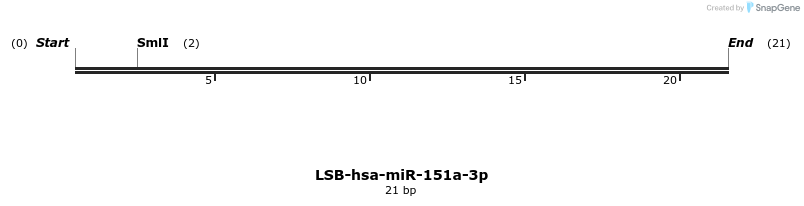 195566_map
