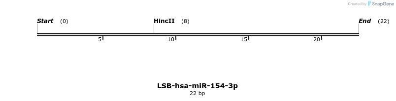 195574_map