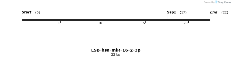 195592_map