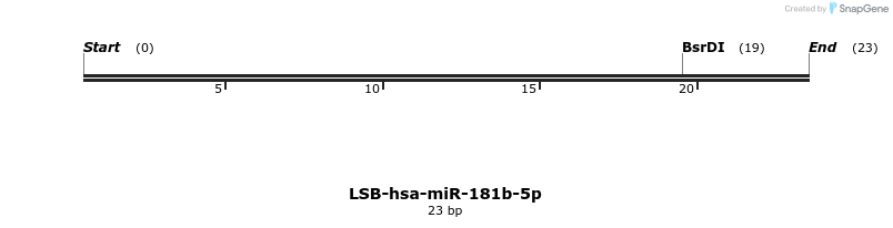195606_map