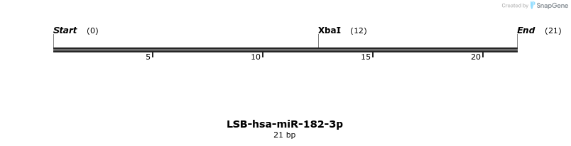 195614_map