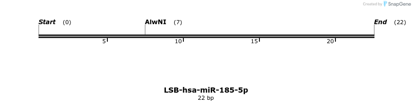 195624_map