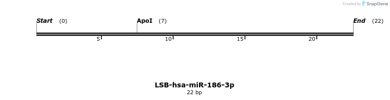 195626_map
