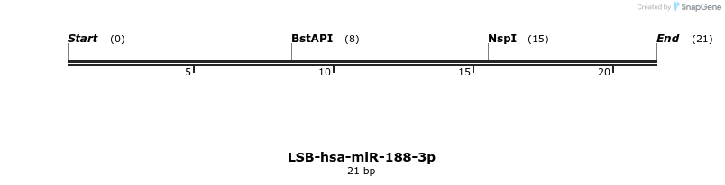 195630_map