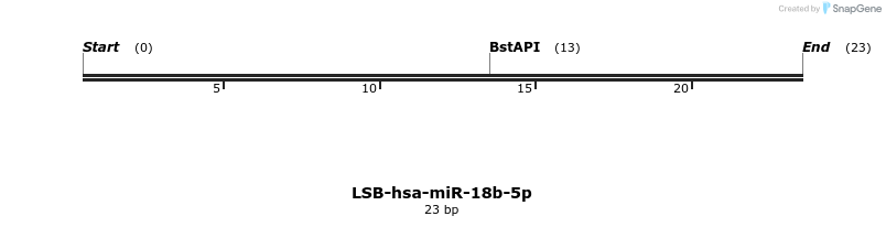 195638_map